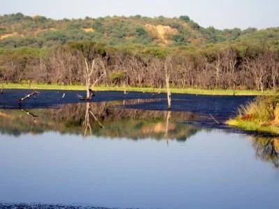 Malik Talao Malik Talao