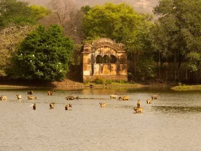 Raj Bhag Ruins Raj Bhag Ruins