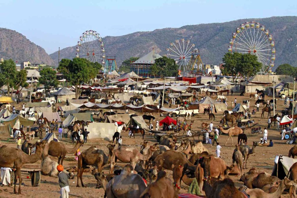 Pushkar Camel Fair 2023