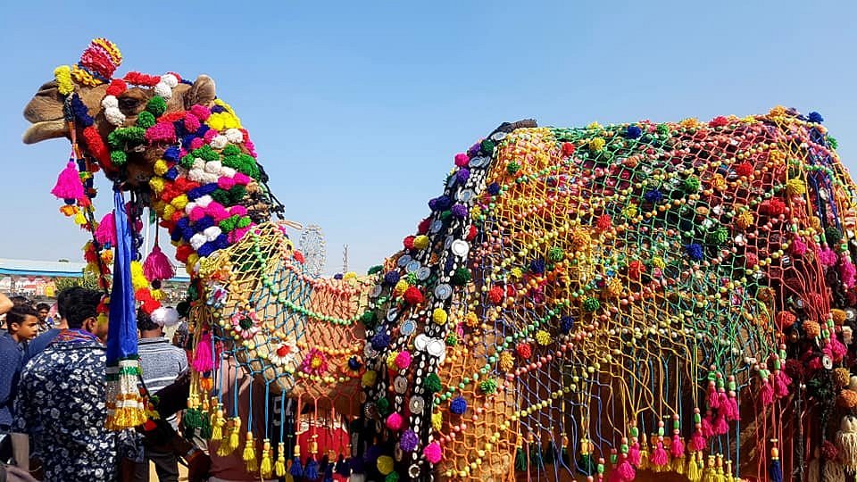 Pushkar Fair 2023