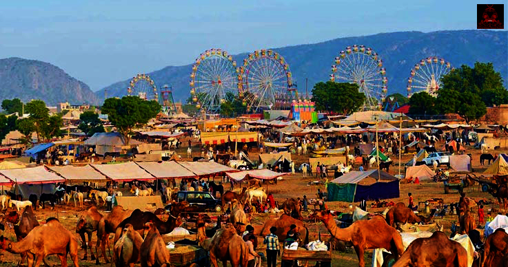 Pushkar Fair 2023